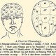Illustration for article titled Phrenological Chart May Help Us Better Understand Sarah Palins Brain